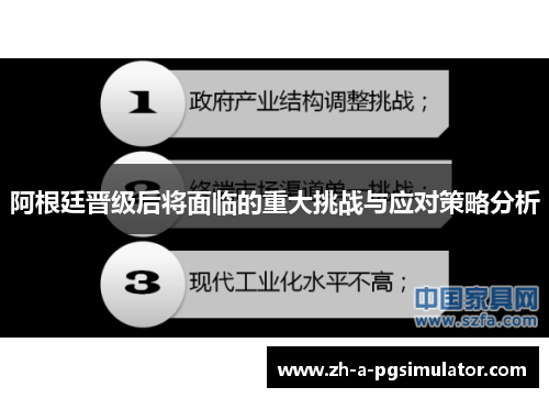 阿根廷晋级后将面临的重大挑战与应对策略分析