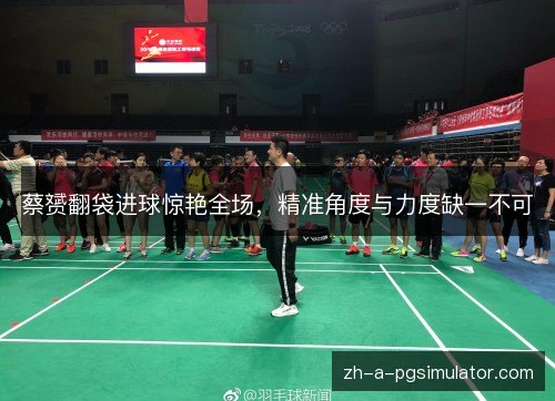 蔡赟翻袋进球惊艳全场,精准角度与力度缺一不可 蔡赟翻袋进球惊艳全场,精准角度与力度缺一不可